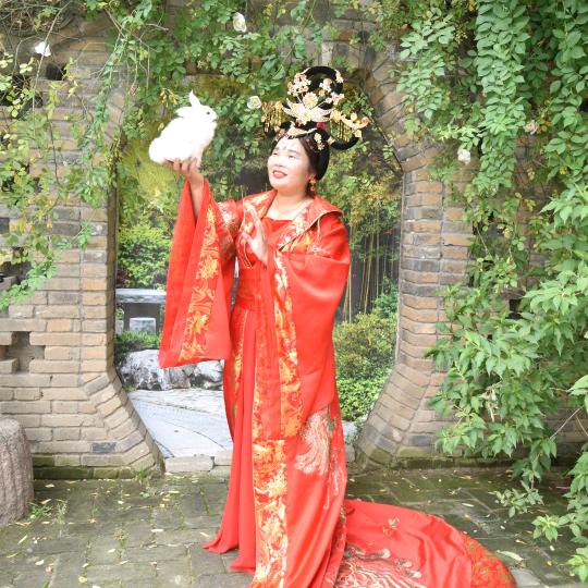 春天里的阳光