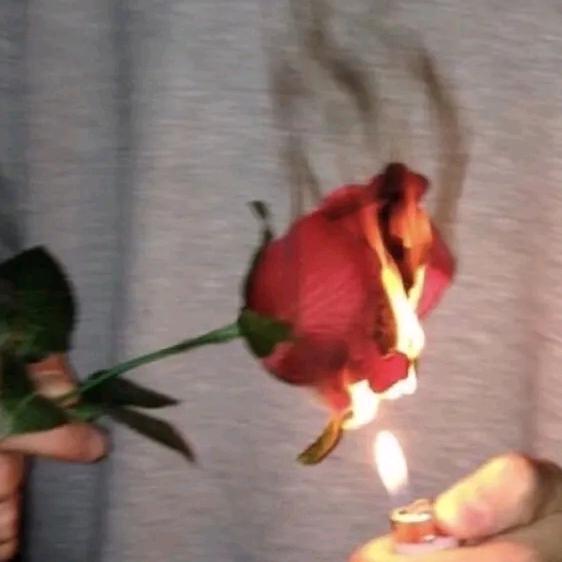只贪烟酒不贪情