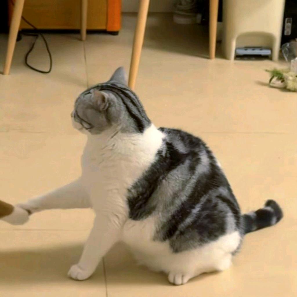 ？
