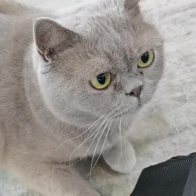 妳什么你头像