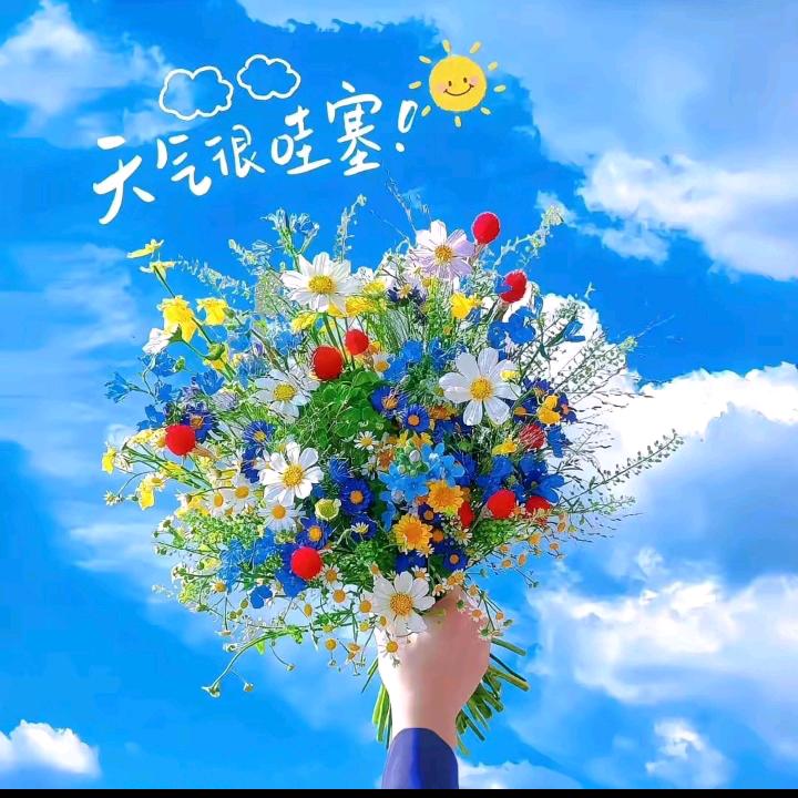 用户