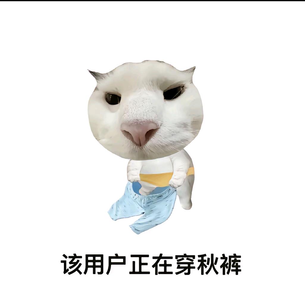罗天天