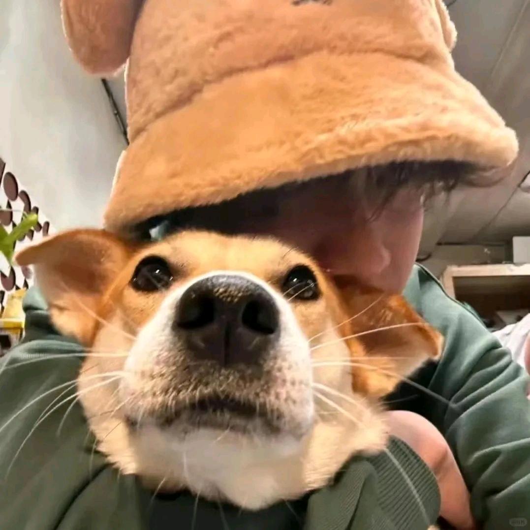 郭书 瑶