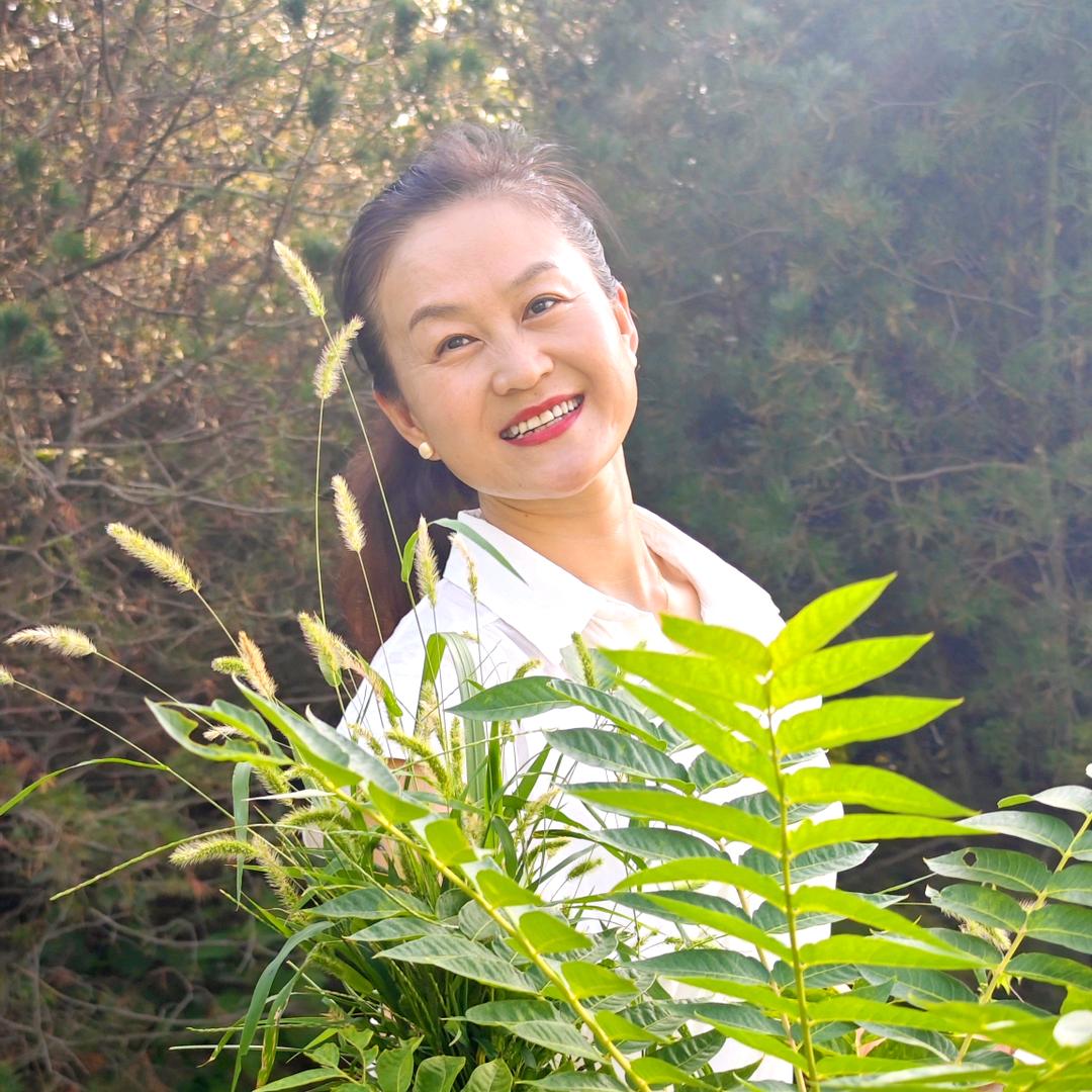 乘风季