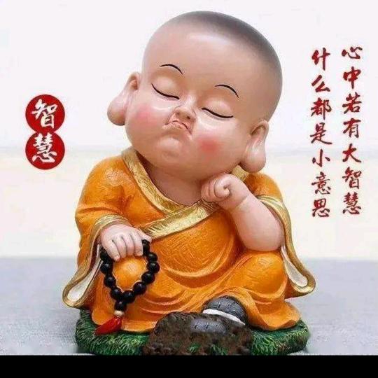 老默爱吃🐠（养🐠中勿扰）