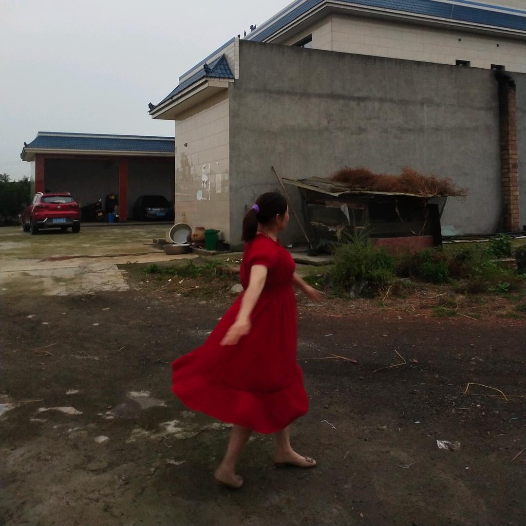 花🌸花🌸