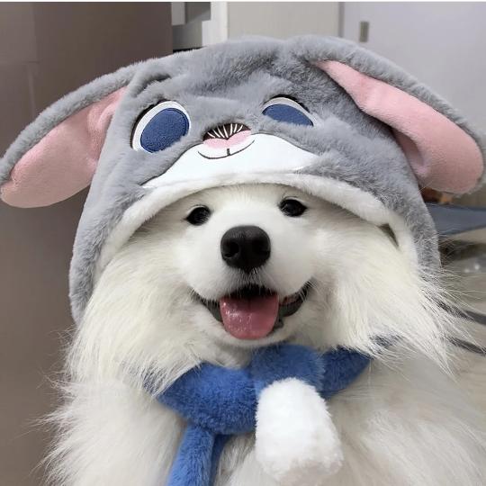 宁头像