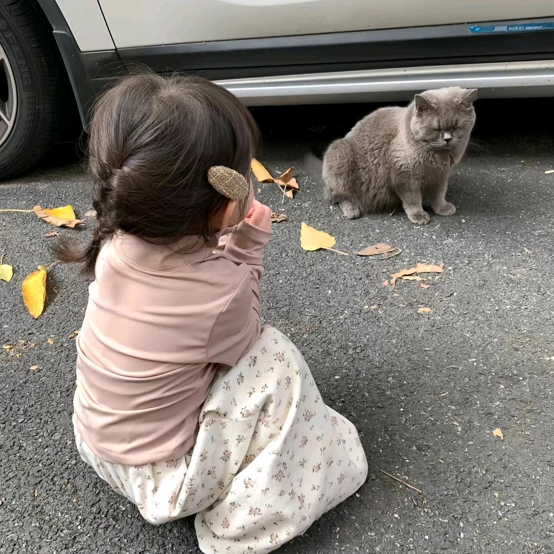 Ö椰 ˙ᵕ˙