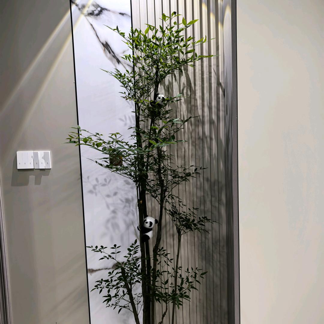 自知