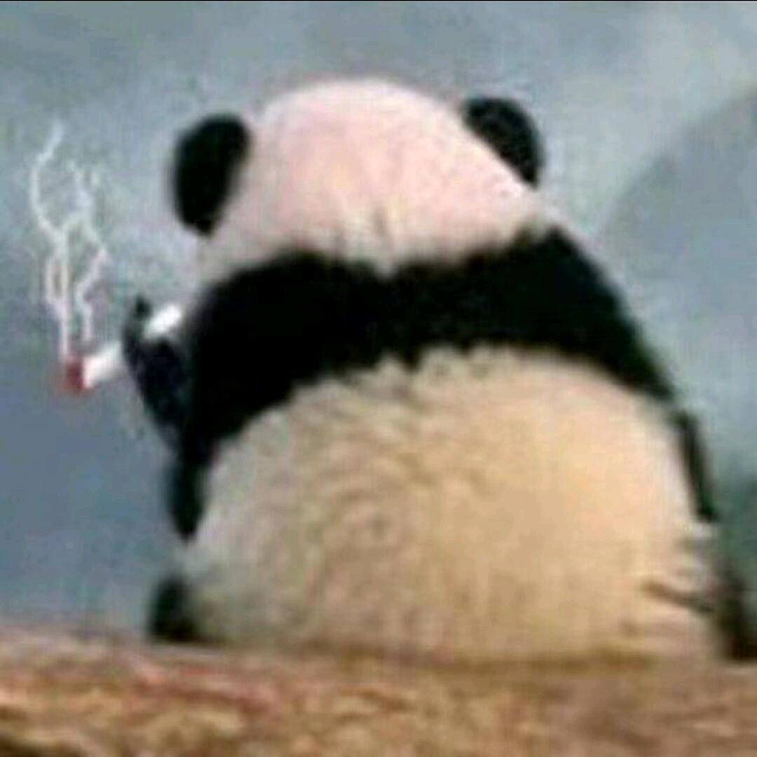 熊猫（火影团本）