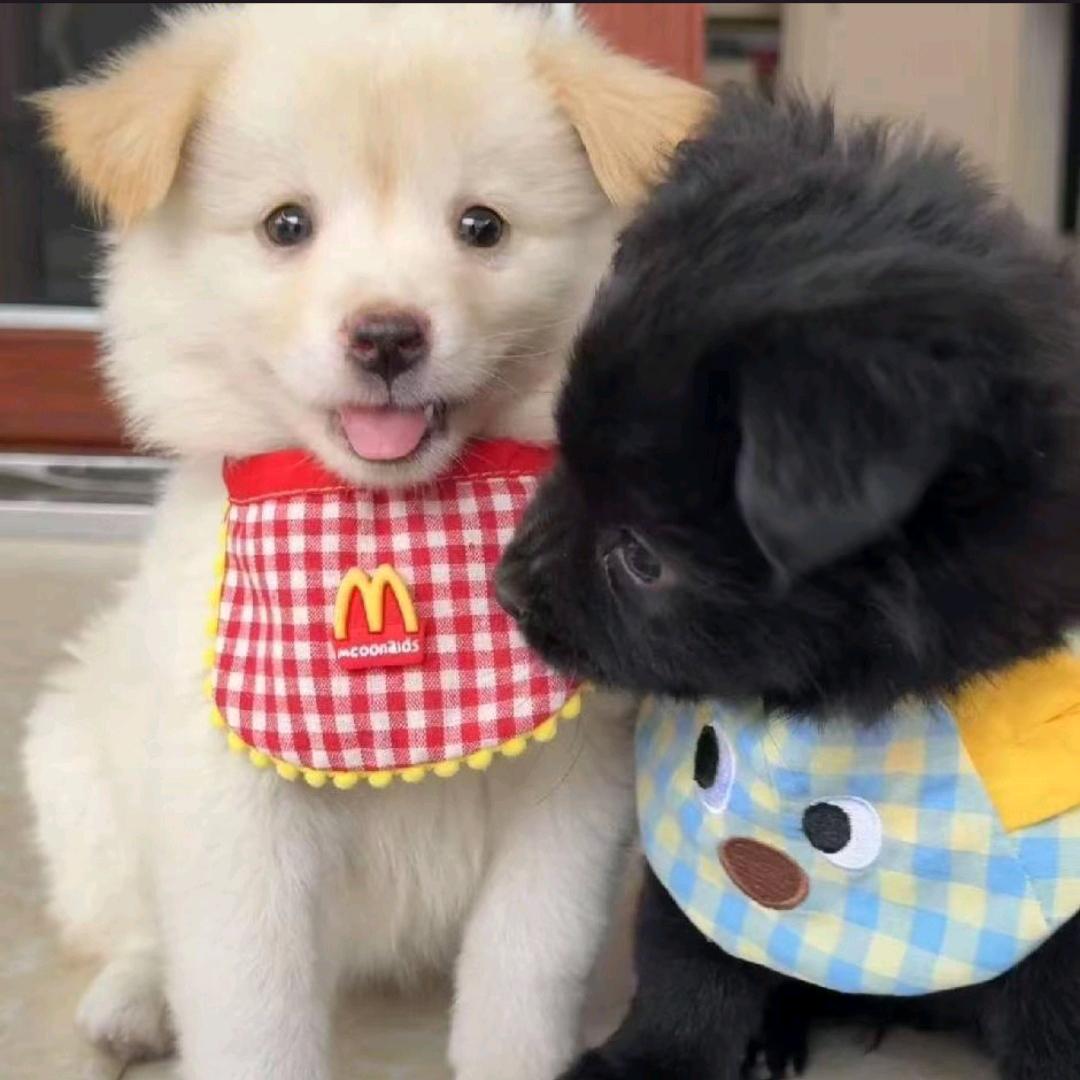 ♡云间月（在鸟巢见过王源版）