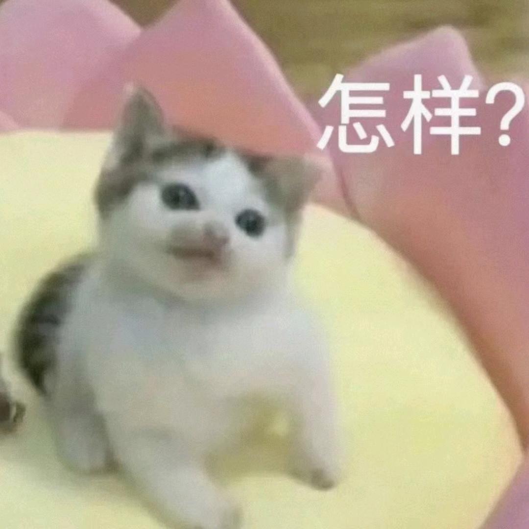 十九91536