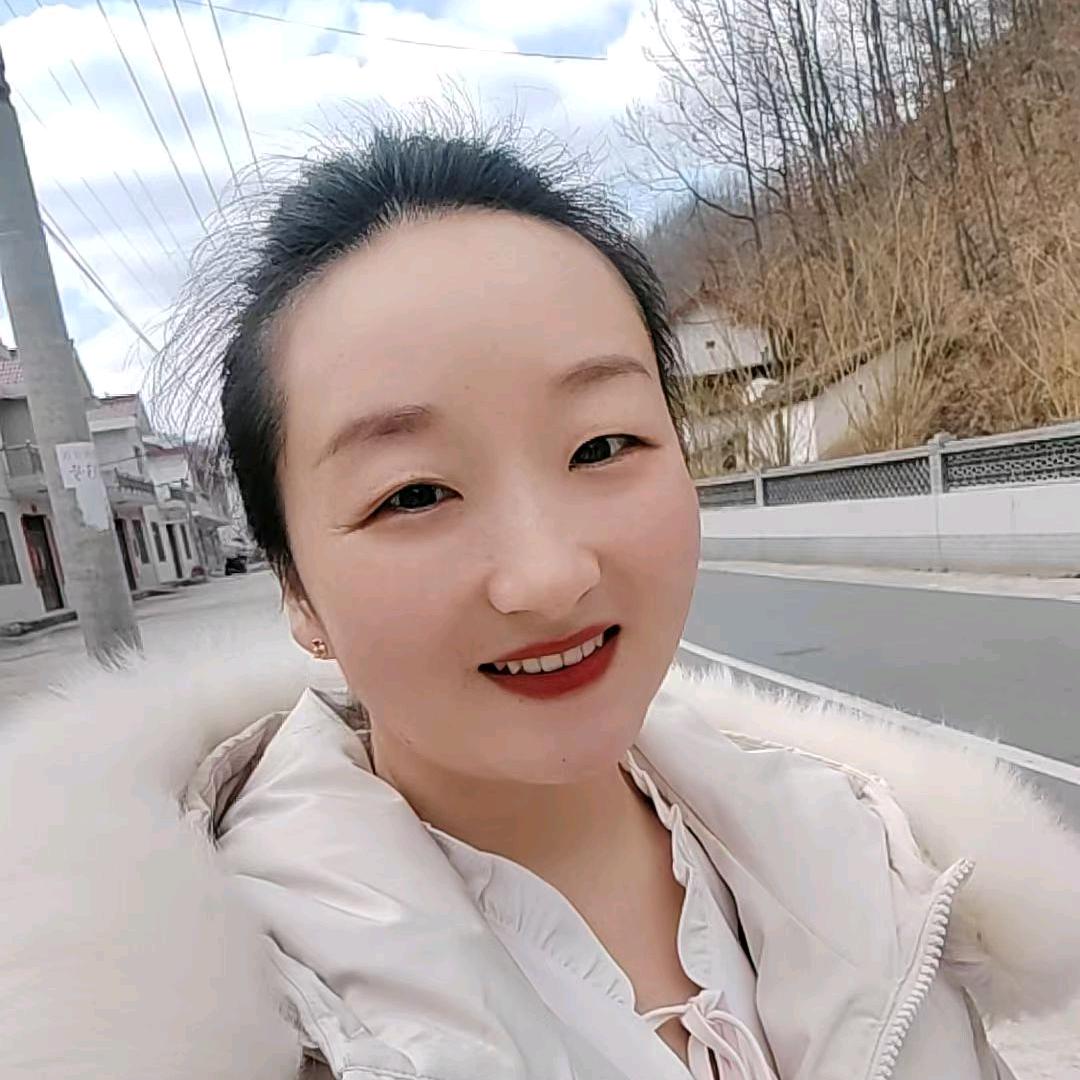 商洛的燕子