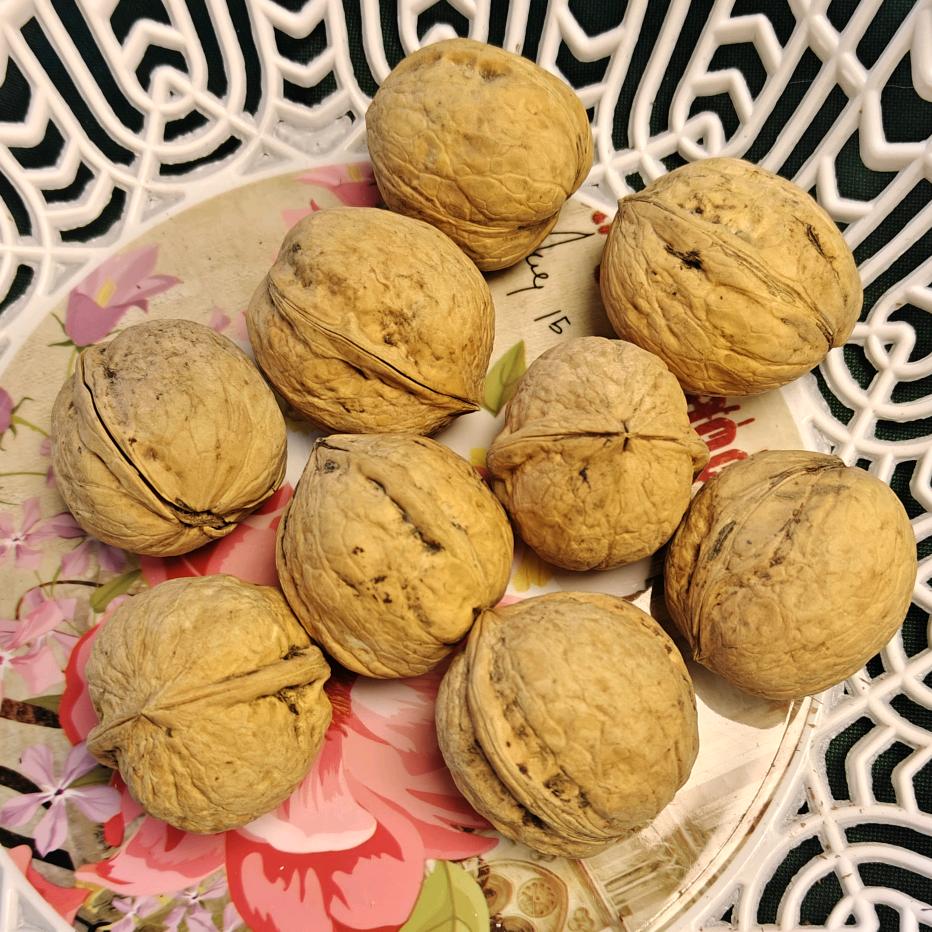 和田市遇见优品特产