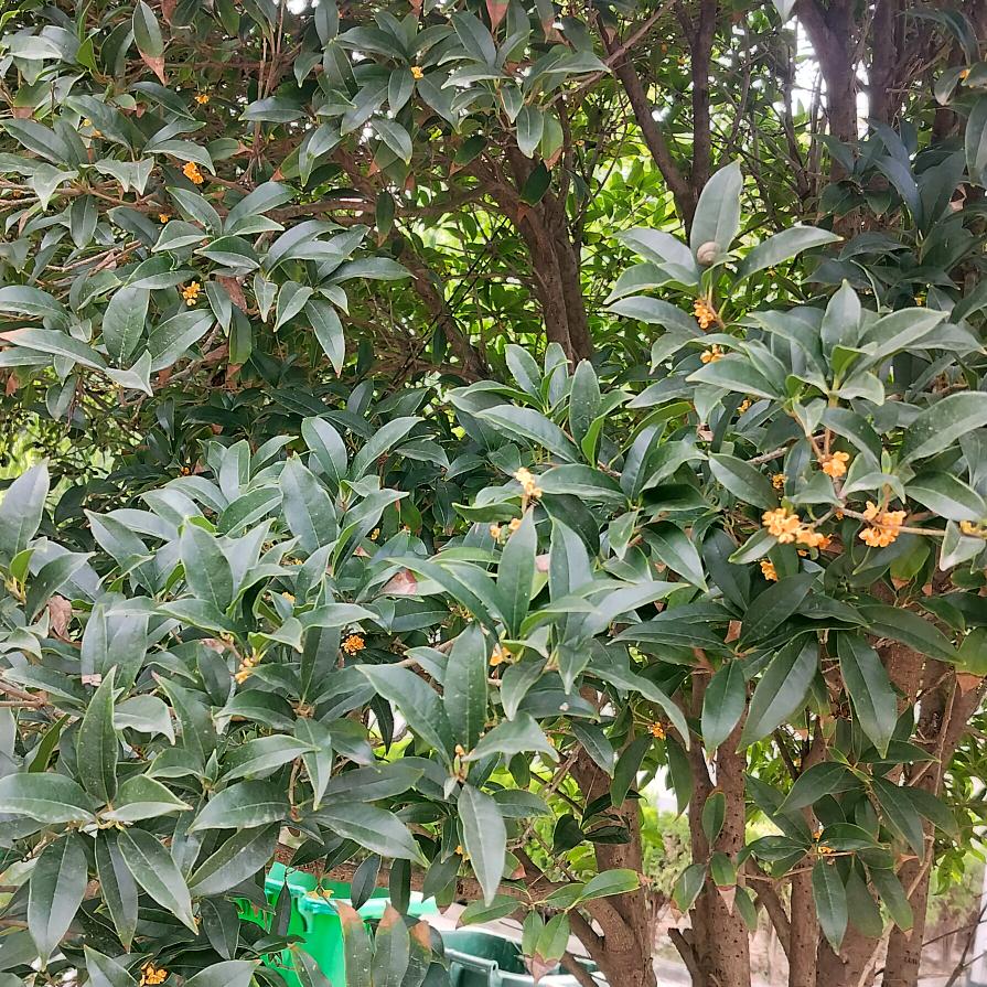 王后余生，照顾好自己！