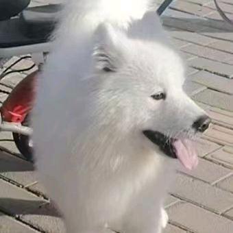 谁动我蛋糕