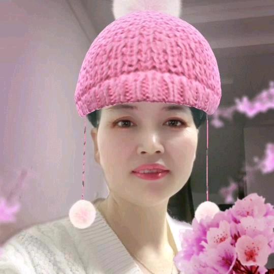 蕙芝