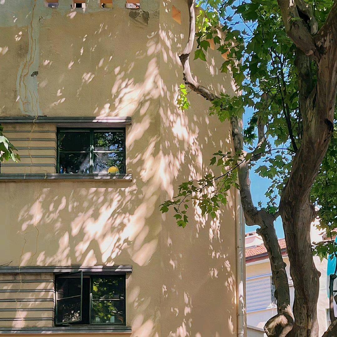 小张吃饭啦(●'◡'●)