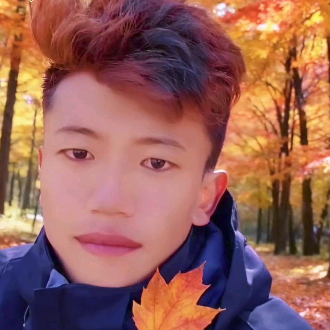 德青加