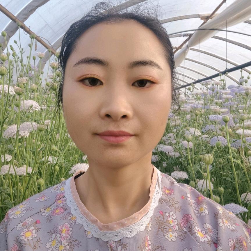 楚忆花卉