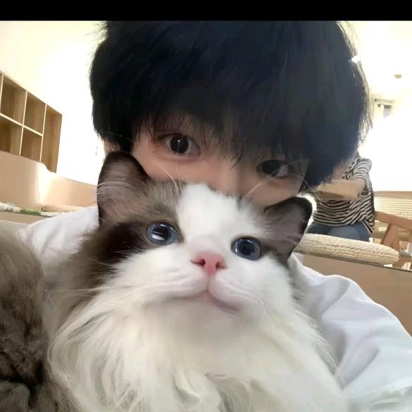 Ms.加衣学弟