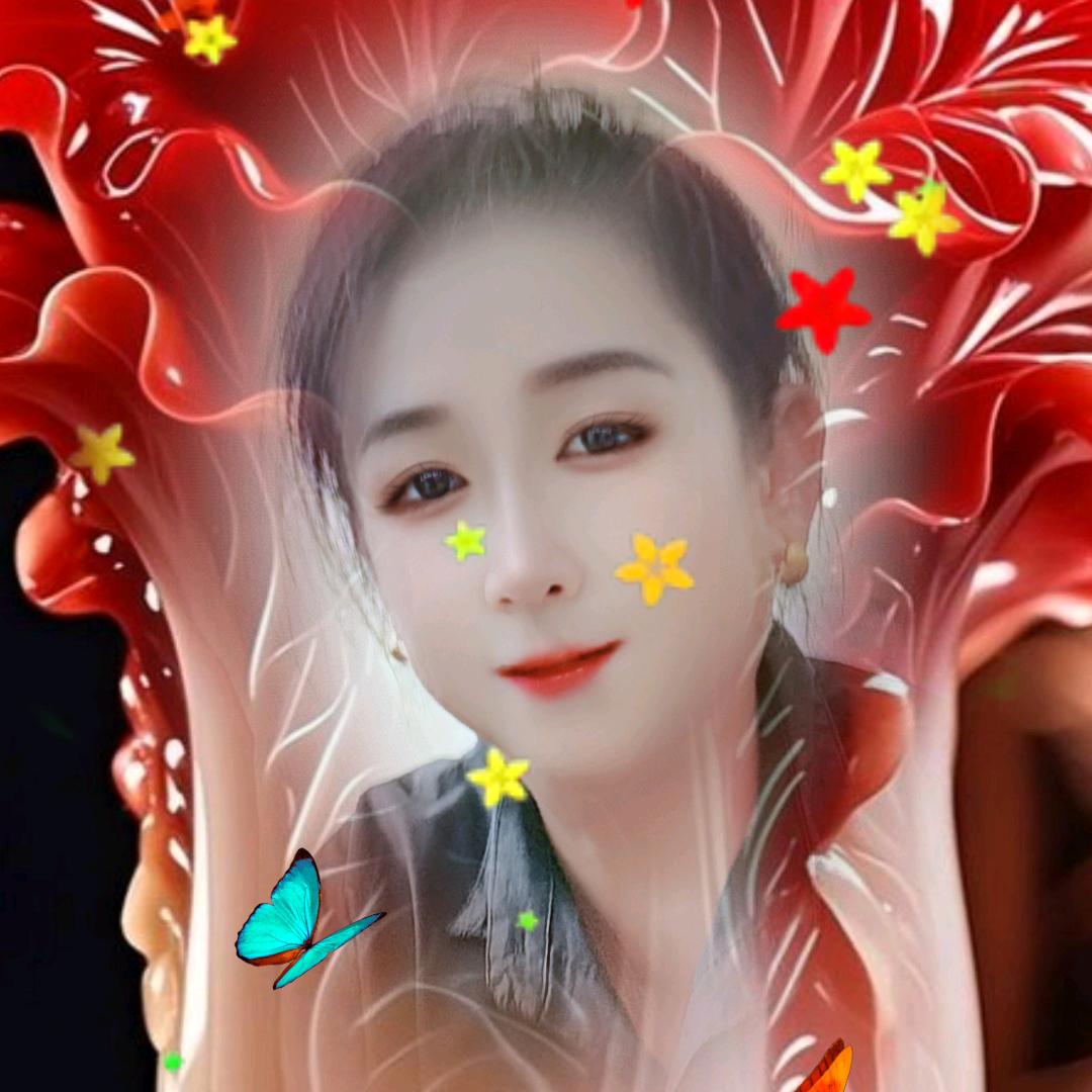 顺其自然黄玫瑰