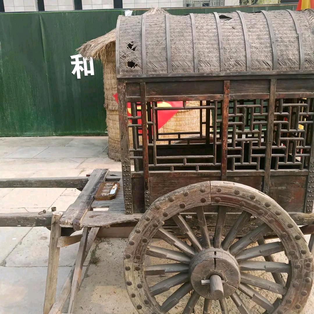 单身哥