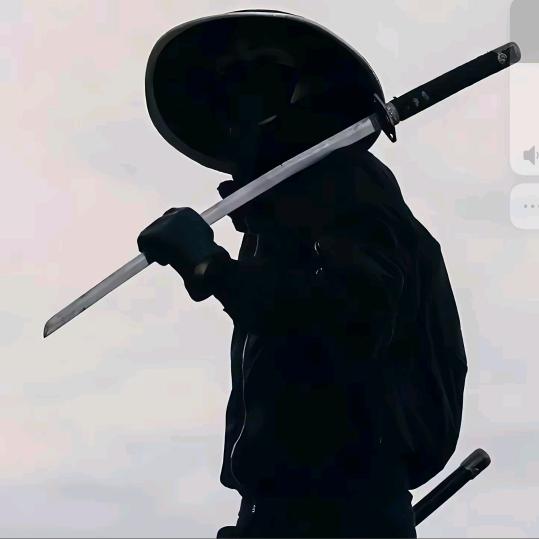 隐官