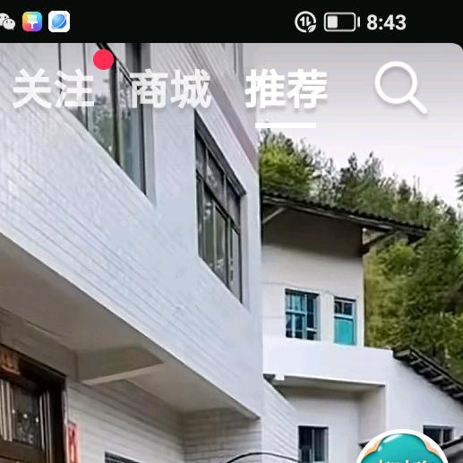 段姐