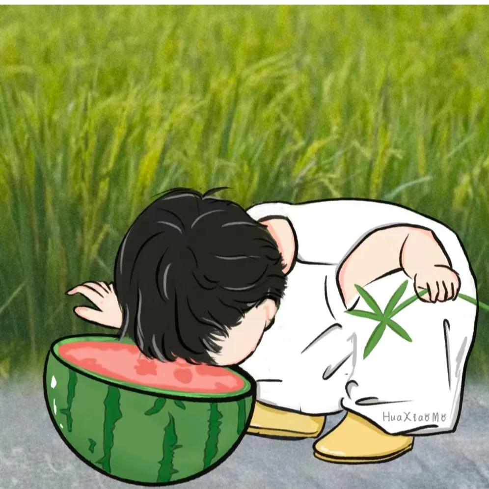我在等风也在等你