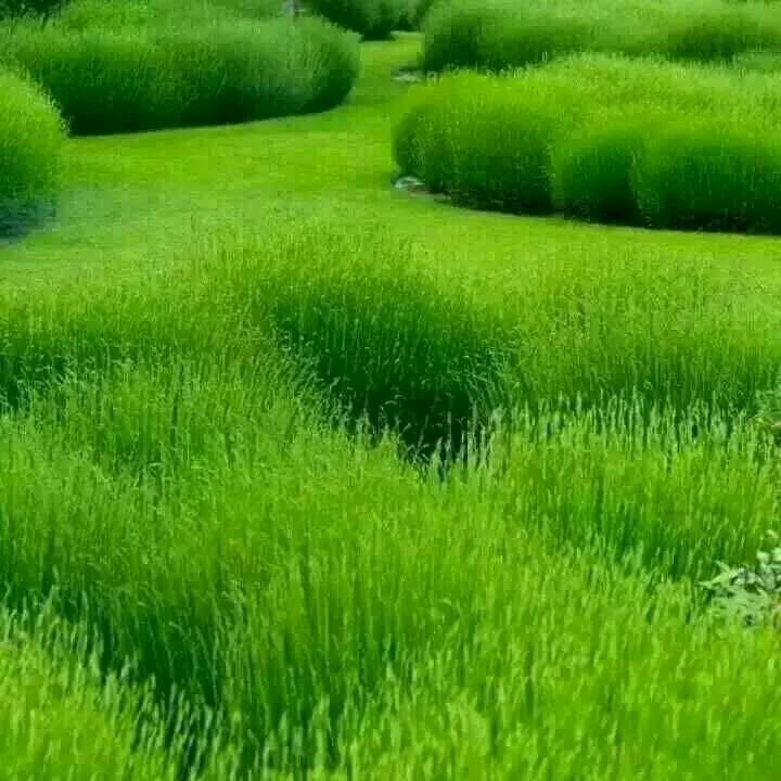 水滴石穿