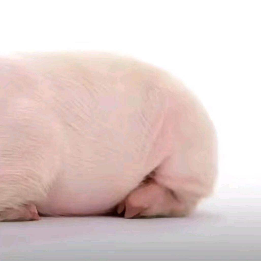 ── 展开 999条回复 ⌵