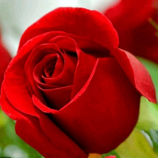 此号以后不可用