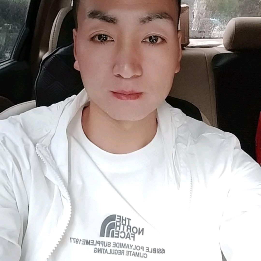 孤燕南飞