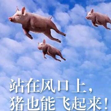 興