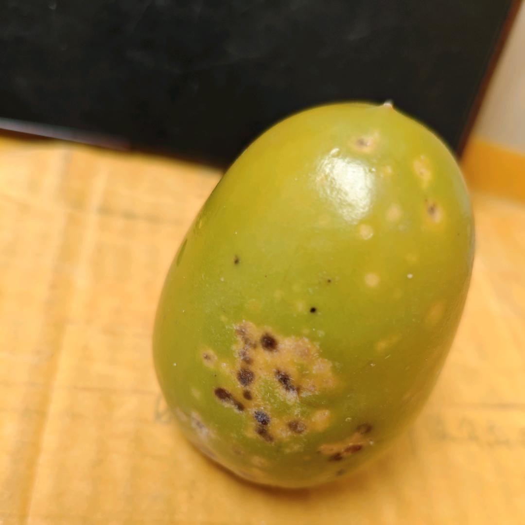 舒心