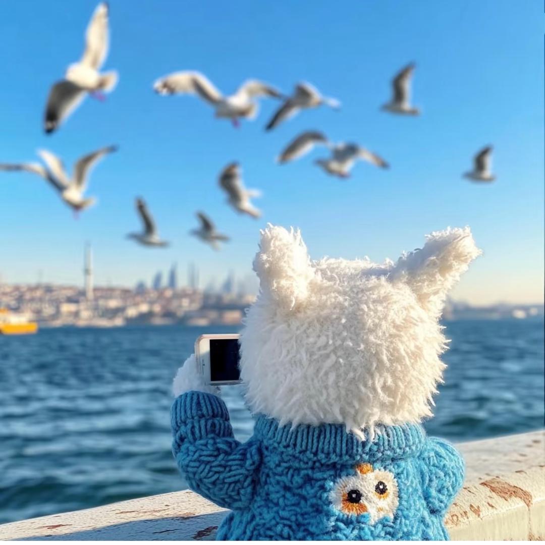 王一樊宠物服饰