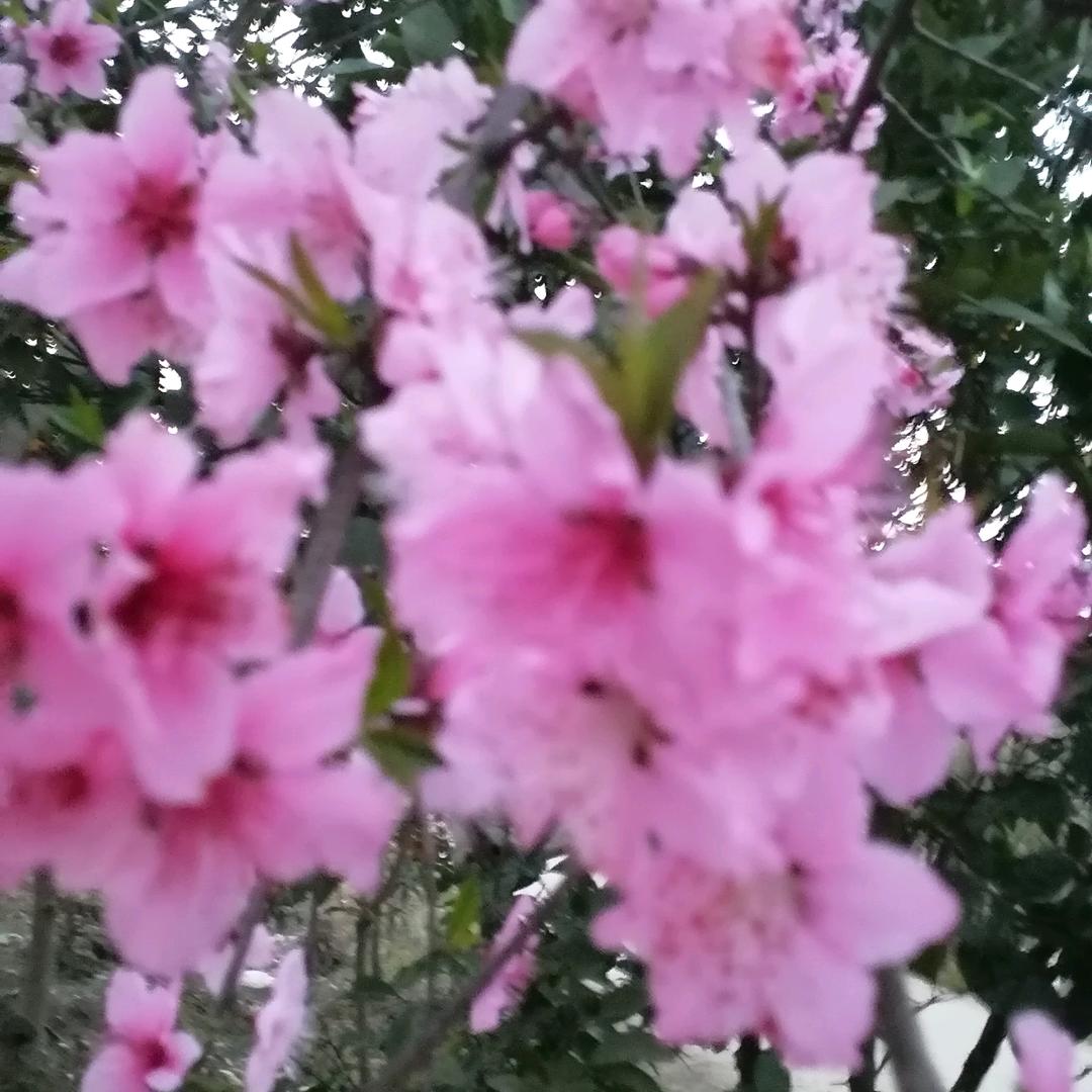 关我拿三期