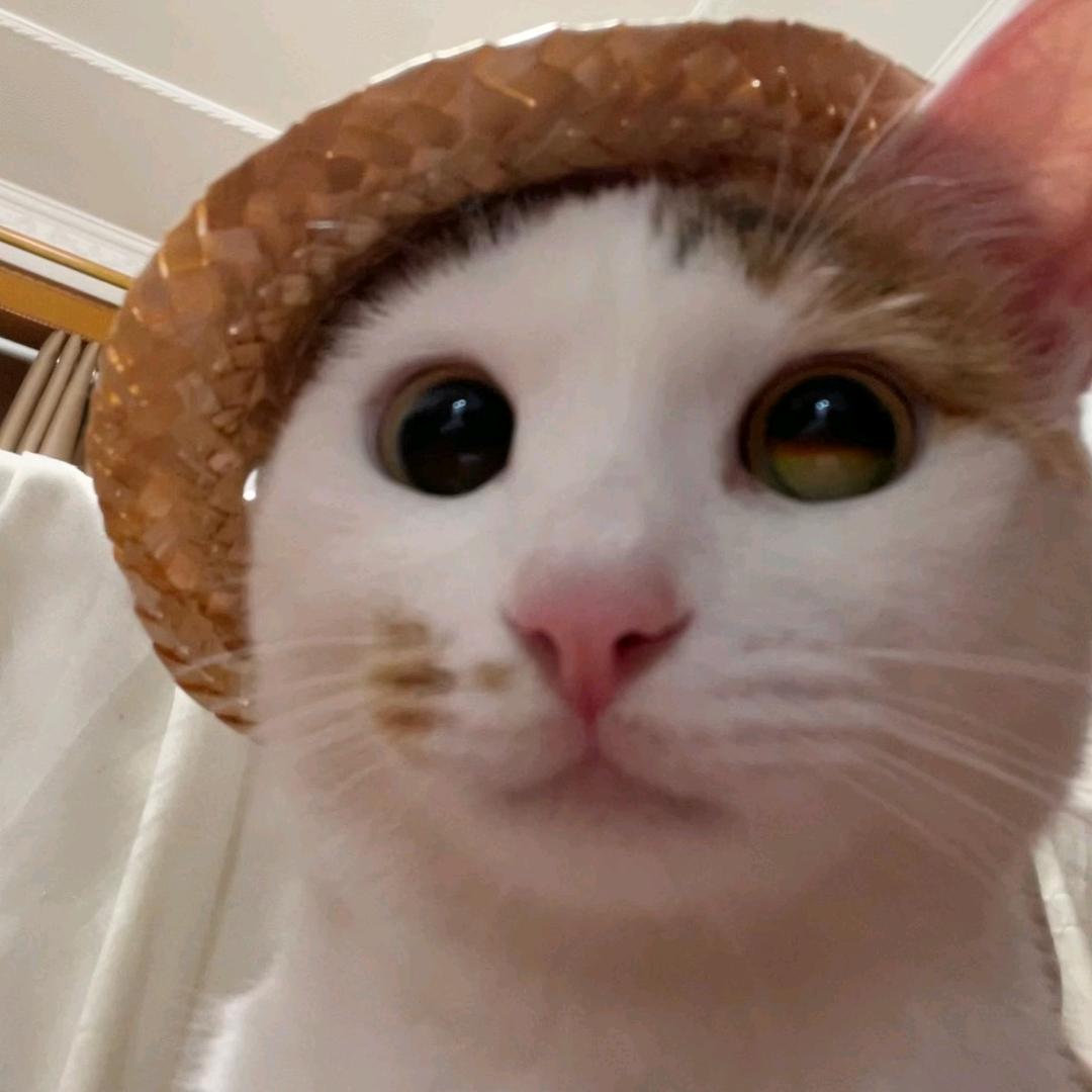 蛋黄派我来的