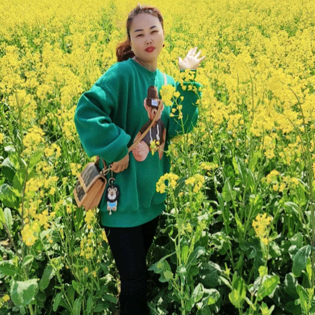 樱花雨梦