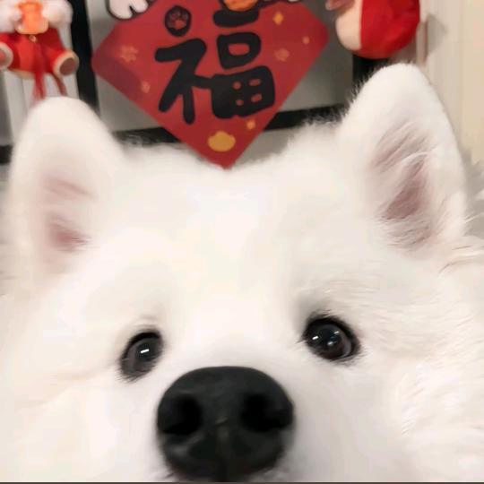 再睡一分钟ᶻz