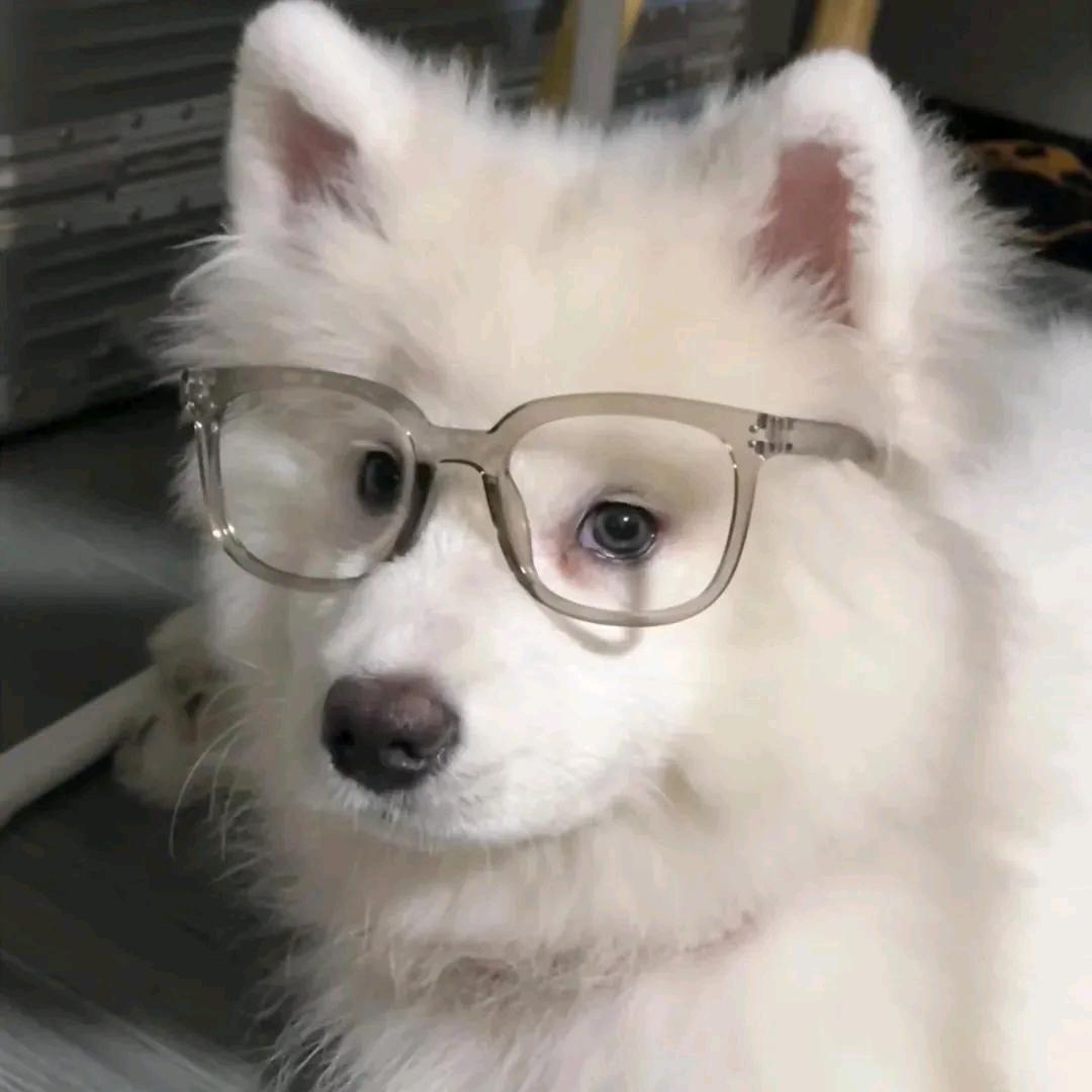 蜡笔小新