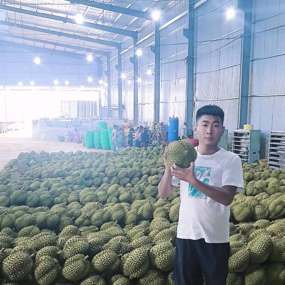 高碑店刘严 榴莲车厘子