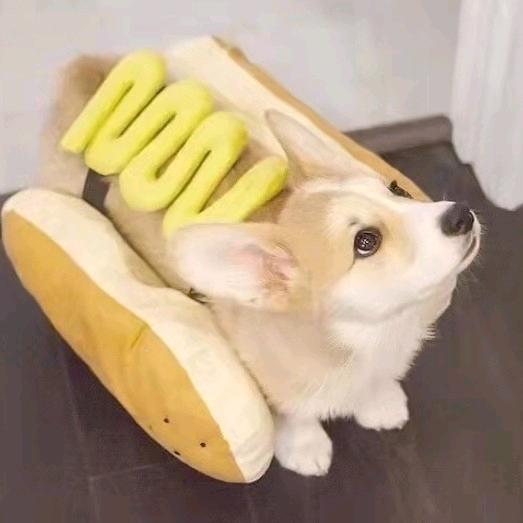枪枪仔