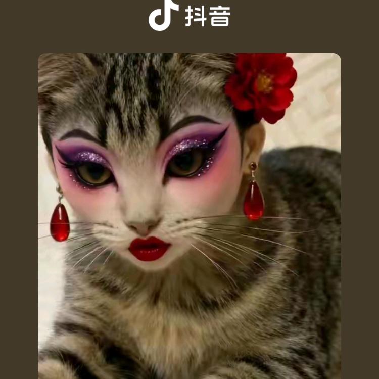 有缘有缘在一起。