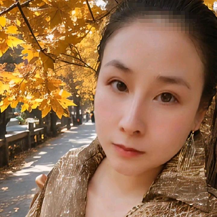 锦