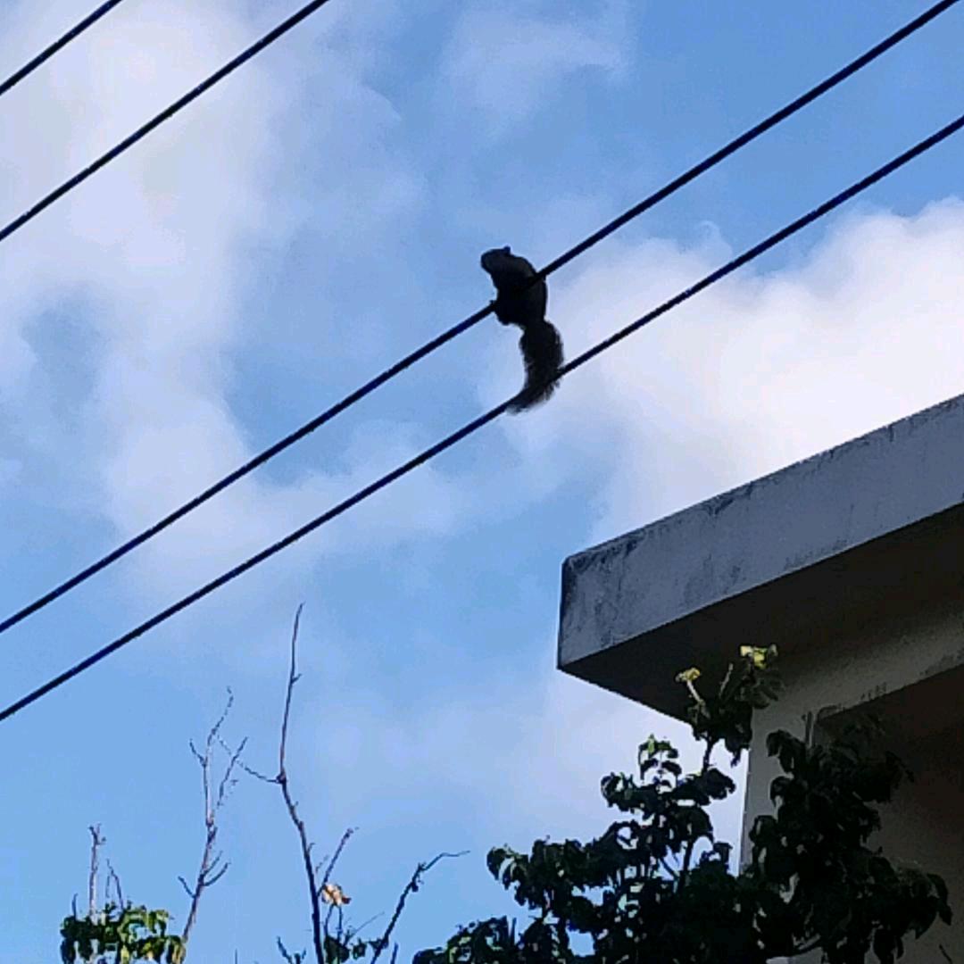 童年的大山