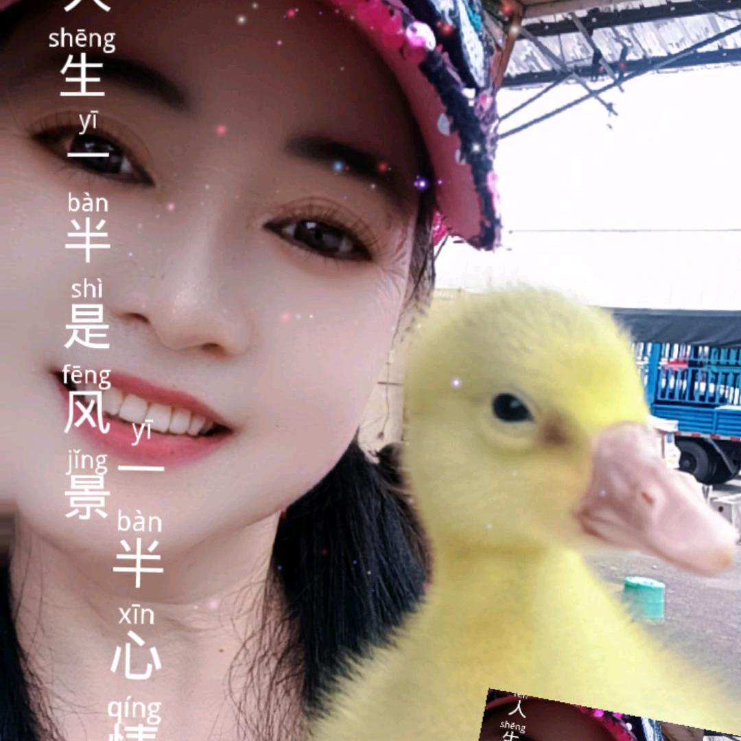 杨三姐鸡鸭鹅苗批发兼零售