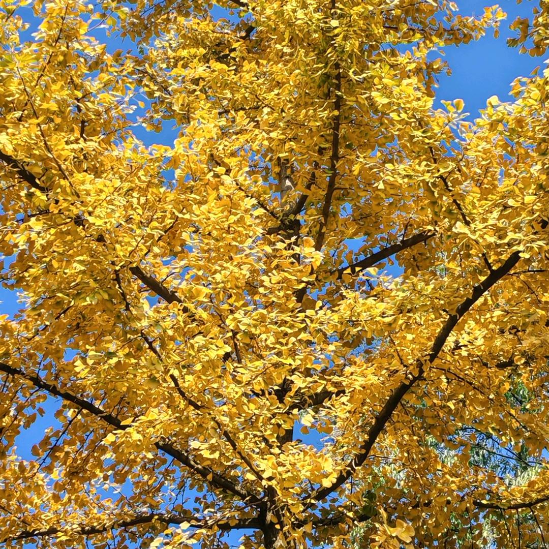 ✪ω✪等风再起航✪ω✪