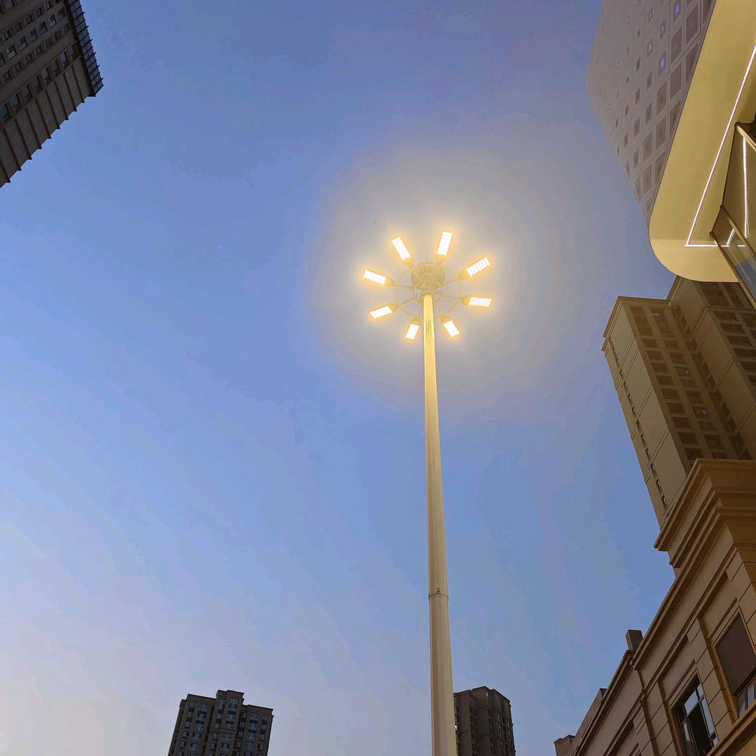 丢了幸福的猪